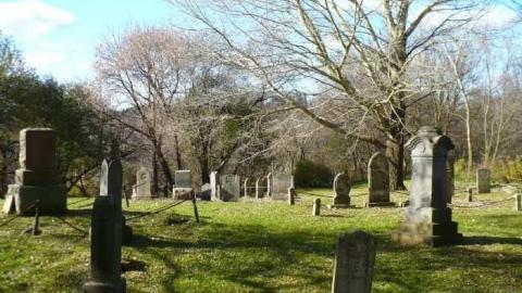 Rebel trail - Rebel-Trail11.jpg