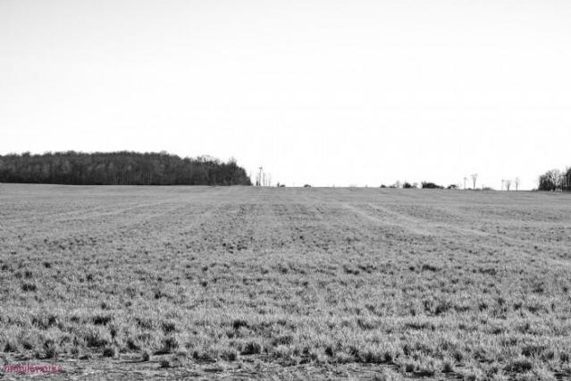 United Presbyterian Cemetery photo 4