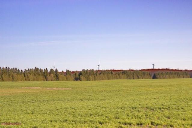 United Presbyterian Cemetery photo 5
