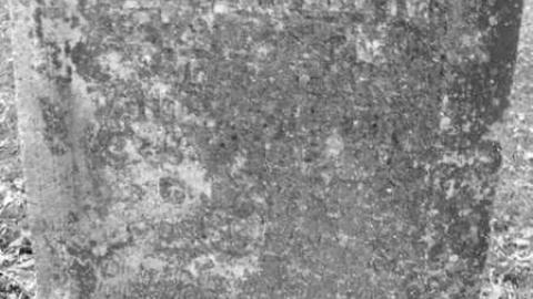 rebel trail 2 - Rebel-Trail17.jpg