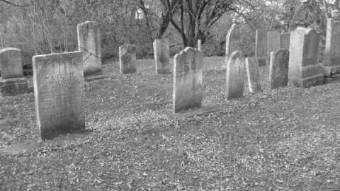 rebel trail 2 - Rebel-Trail18.jpg