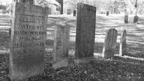 rebel trail 2 - Rebel-Trail20.jpg