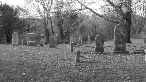 rebel trail 2 - Rebel-Trail21.jpg