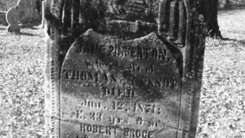 rebel trail 2 - Rebel-Trail23.jpg