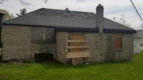 White and Yellow photo 3