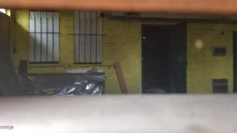 White and Yellow photo 4