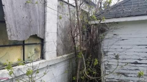 White and Yellow photo 5