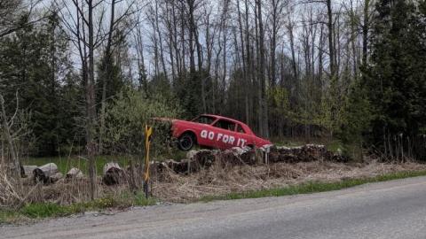 Photo from Altona2019