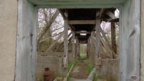 Howell's Hollow 2019 - Howells-Hollow-(ghost-town)24.jpg