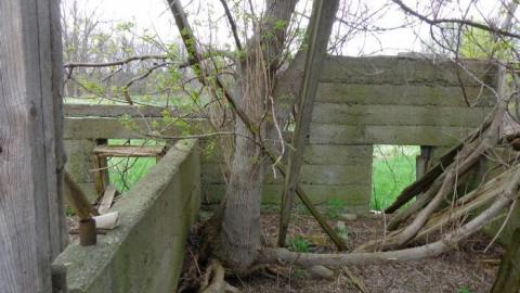 Howell's Hollow 2019 - Howells-Hollow-(ghost-town)25.jpg