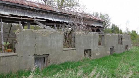 Howell's Hollow 2019 cover photo