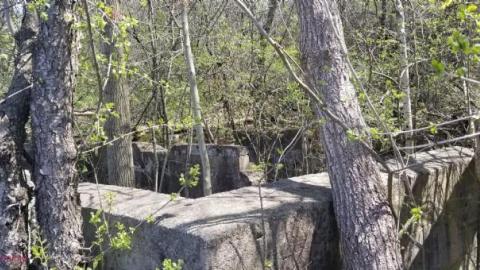 Just a few foundations - Devils-Glen-Quarry14.jpg