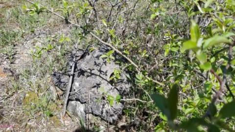 Just a few foundations - Devils-Glen-Quarry15.jpg