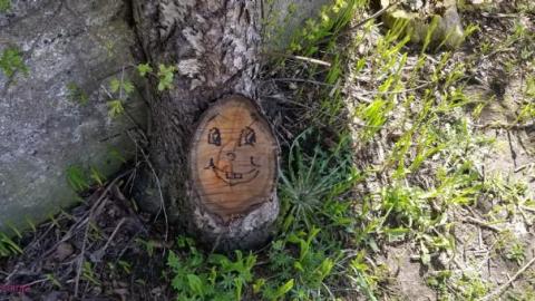 Just a few foundations - Devils-Glen-Quarry16.jpg