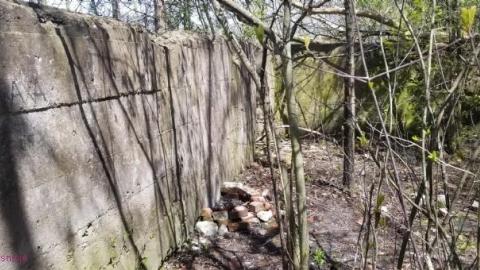 Just a few foundations - Devils-Glen-Quarry19.jpg