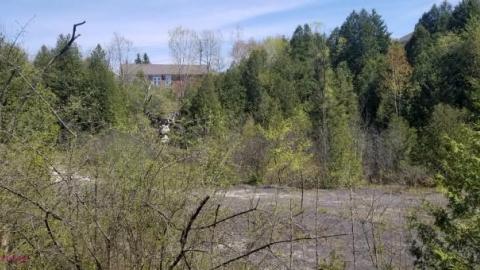 Just a few foundations - Devils-Glen-Quarry21.jpg