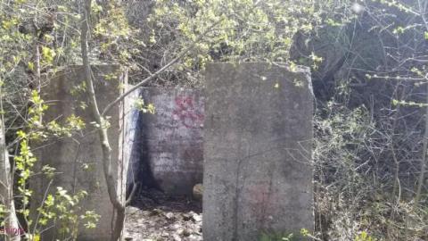 Just a few foundations - Devils-Glen-Quarry22.jpg