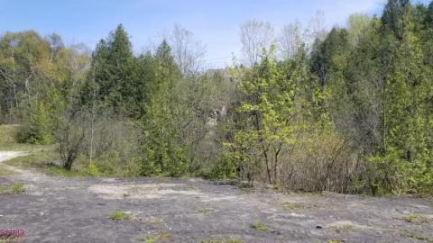 Just a few foundations - Devils-Glen-Quarry25.jpg