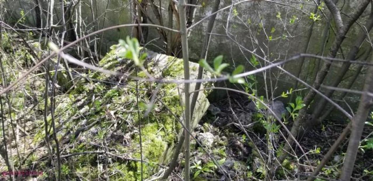 Just a few foundations - Devils-Glen-Quarry7.jpg