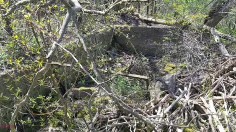 Just a few foundations - Devils-Glen-Quarry9.jpg