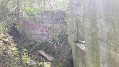 Just a few foundations - Devils-Glen-Quarry10.jpg