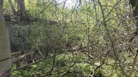 Just a few foundations - Devils-Glen-Quarry2.jpg