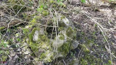 Just a few foundations - Devils-Glen-Quarry3.jpg