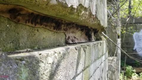 Just a few foundations - Devils-Glen-Quarry4.jpg