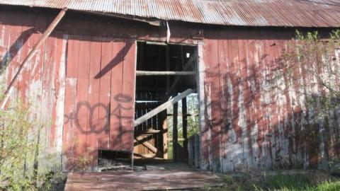 20-minute adventure - Bells-Corners-Barn23.jpg