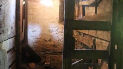 20-minute adventure - Bells-Corners-Barn5.jpg