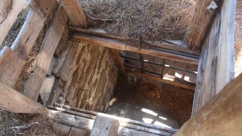 20-minute adventure - Bells-Corners-Barn40.jpg