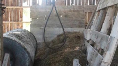 20-minute adventure - Bells-Corners-Barn42.jpg