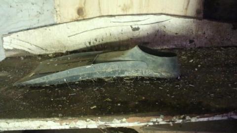 20-minute adventure - Bells-Corners-Barn13.jpg