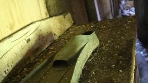 20-minute adventure - Bells-Corners-Barn14.jpg