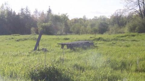 20-minute adventure - Bells-Corners-Barn16.jpg