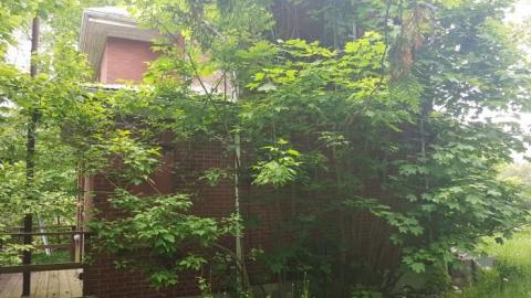 May 2019 - Thames-Centre-Time-Capsule7.jpg