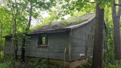 May 2019 - Thames-Centre-Time-Capsule8.jpg