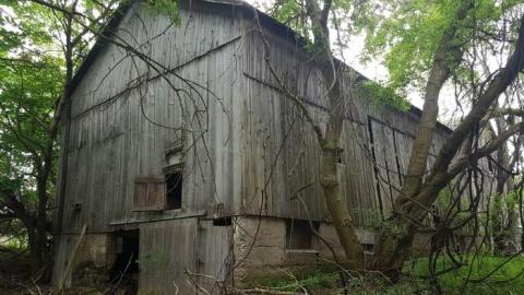 May 2019 - Thames-Centre-Time-Capsule10.jpg