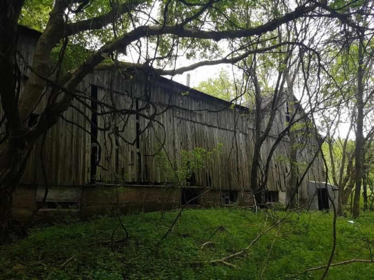 May 2019 - Thames-Centre-Time-Capsule11.jpg