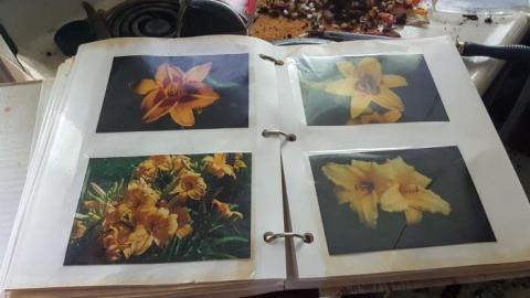 May 2019 - Thames-Centre-Time-Capsule17.jpg