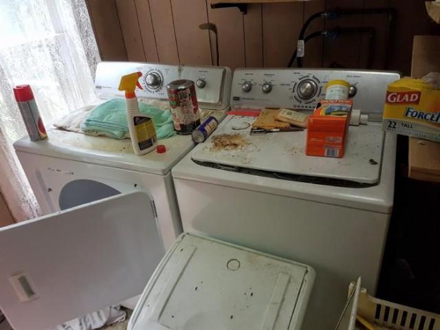 Thames Centre Time Capsule photo 5