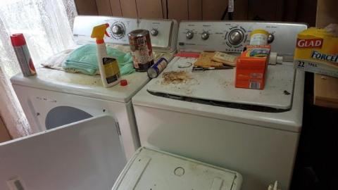 Thames Centre Time Capsule photo 5