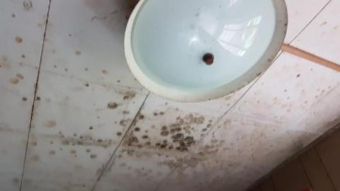 May 2019 - Thames-Centre-Time-Capsule1.jpg