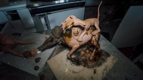 Vivot's Home 2019 - _DSC8052.jpg