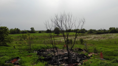 Photo from June 2019