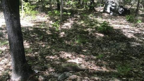 Update: cars gone - Clear-Lake-Car-Dump31.jpeg