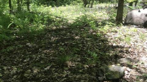 Update: cars gone - Clear-Lake-Car-Dump34.jpeg