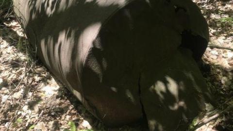 Update: cars gone - Clear-Lake-Car-Dump35.jpeg