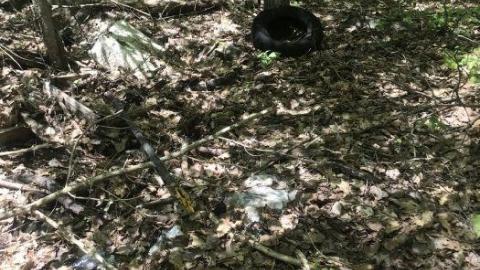 Update: cars gone - Clear-Lake-Car-Dump36.jpeg