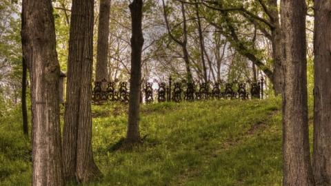 I Suffered Much  - DeForest-Cemetery3.jpg